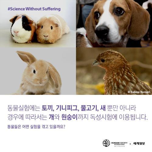 저를 죽이기 전에 눈을 한번 봐주세요(혐오주의) | 인스티즈
