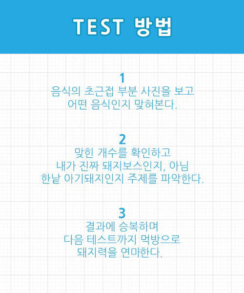 돼지보스 테스트 - 감자과자 편 | 인스티즈