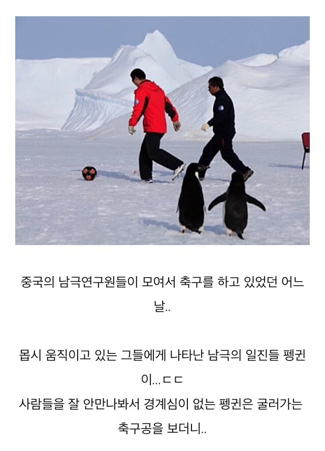 흔한 남극의 일진.jpgif | 인스티즈