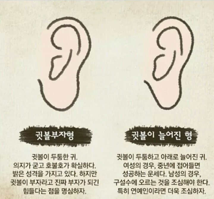 귀모양으로 보는 성격! | 인스티즈