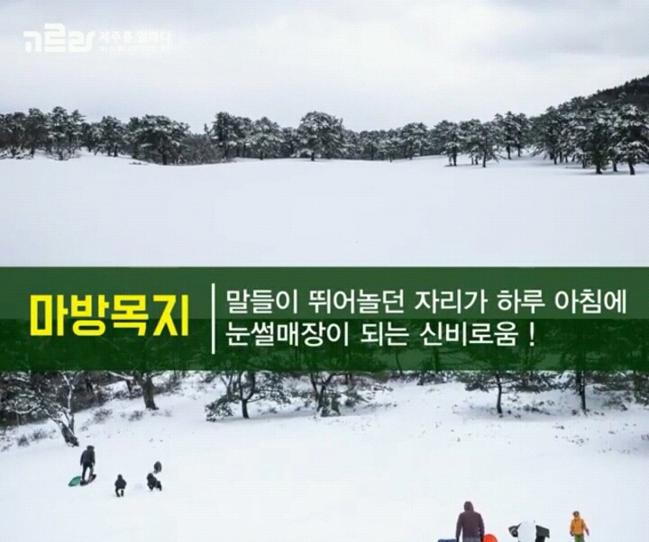 제주 겨울 여행지 12.jpg | 인스티즈