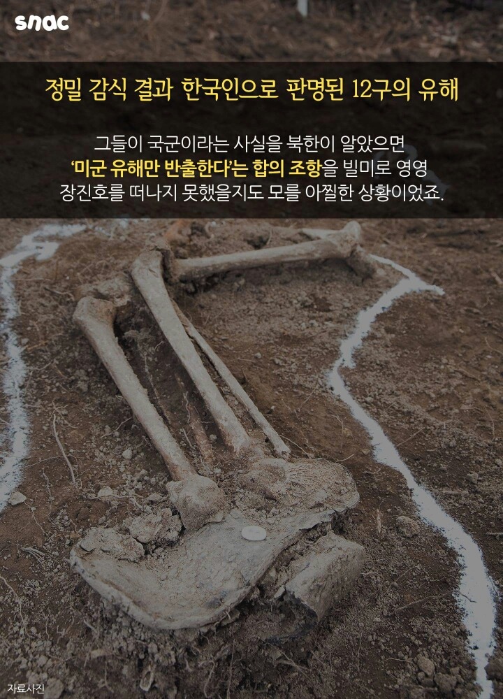 영하 45도 장진호에서 부산 집으로 오기까지 66년이 걸렸다 | 인스티즈