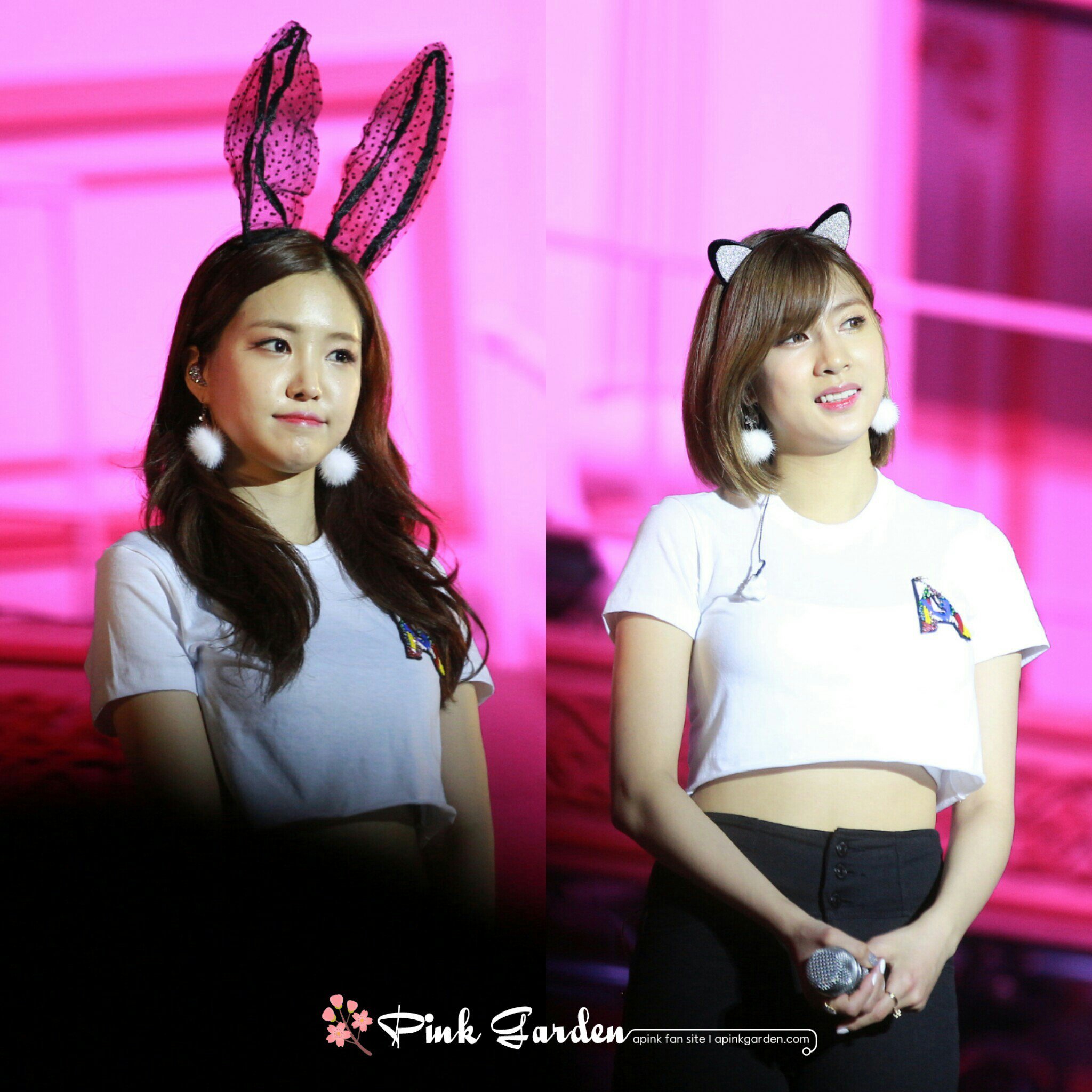 에이핑크 콘서트 사진.jpg | 인스티즈
