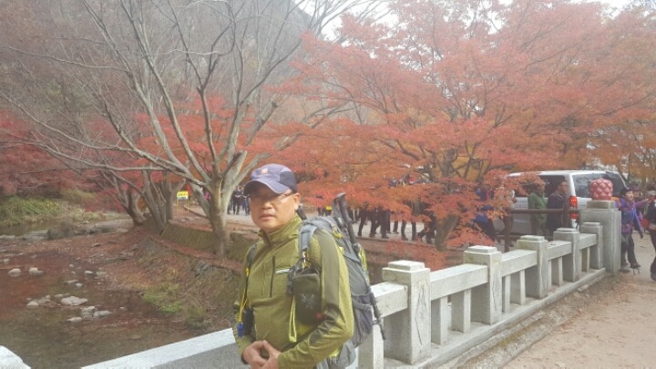 미경사2 이미지
