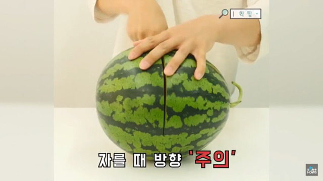 수박의 계절 여름.. 수박씨 쉽게 발라 먹는 방법 🍉 | 인스티즈