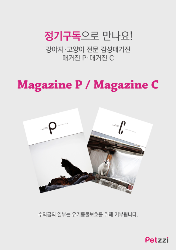 고양이가 긁는 이유(만화).jpg | 인스티즈