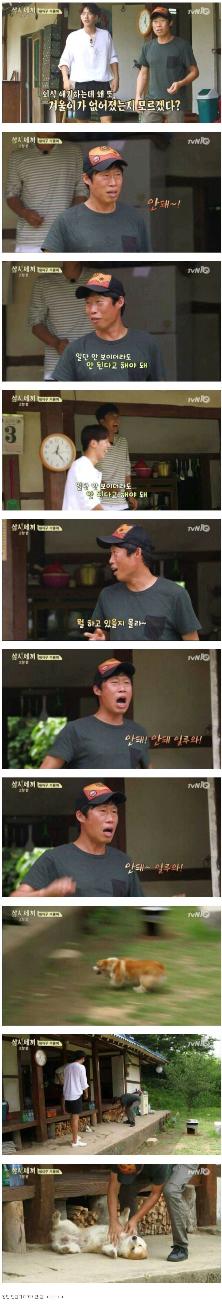 반려견이 사라졌을 때 꿀팁 | 인스티즈