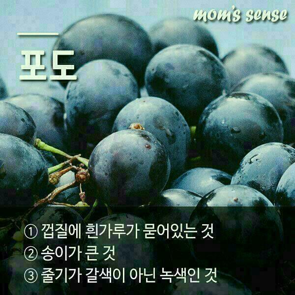 달콤과일 이미지