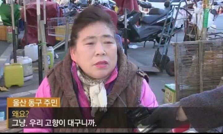 나라를 팔아먹어도 새누리 | 인스티즈