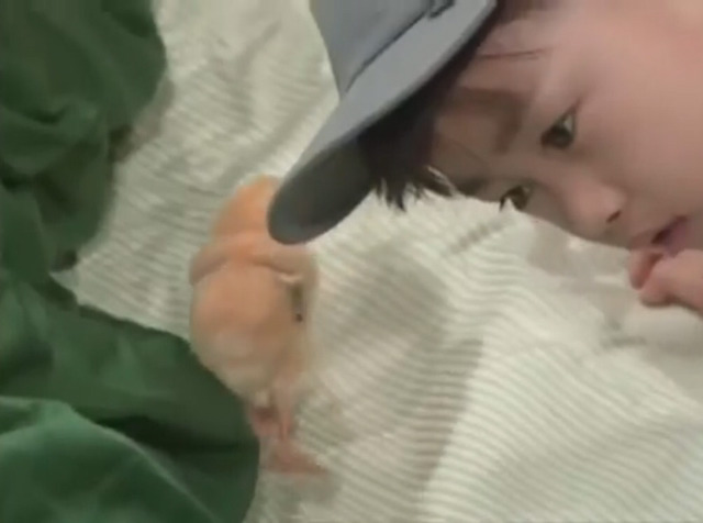 미달이의 병아리와 할아버지 | 인스티즈