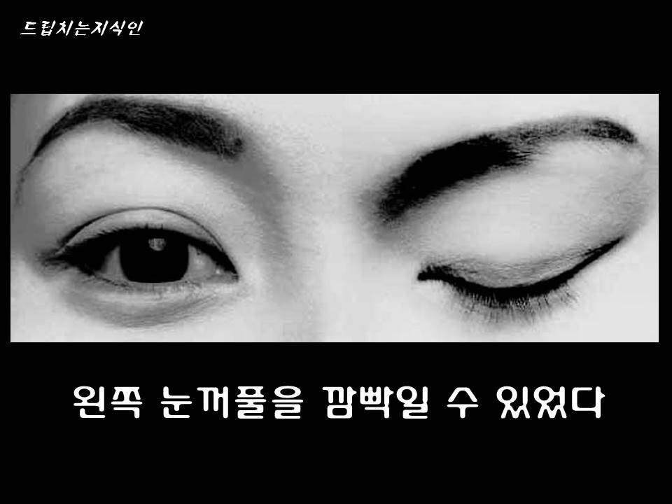  어마어마한 일들을 하고 있는 첨단 뇌공학 | 인스티즈