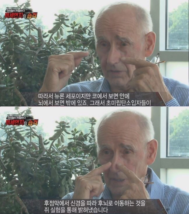 미세먼지의 위험성 | 인스티즈
