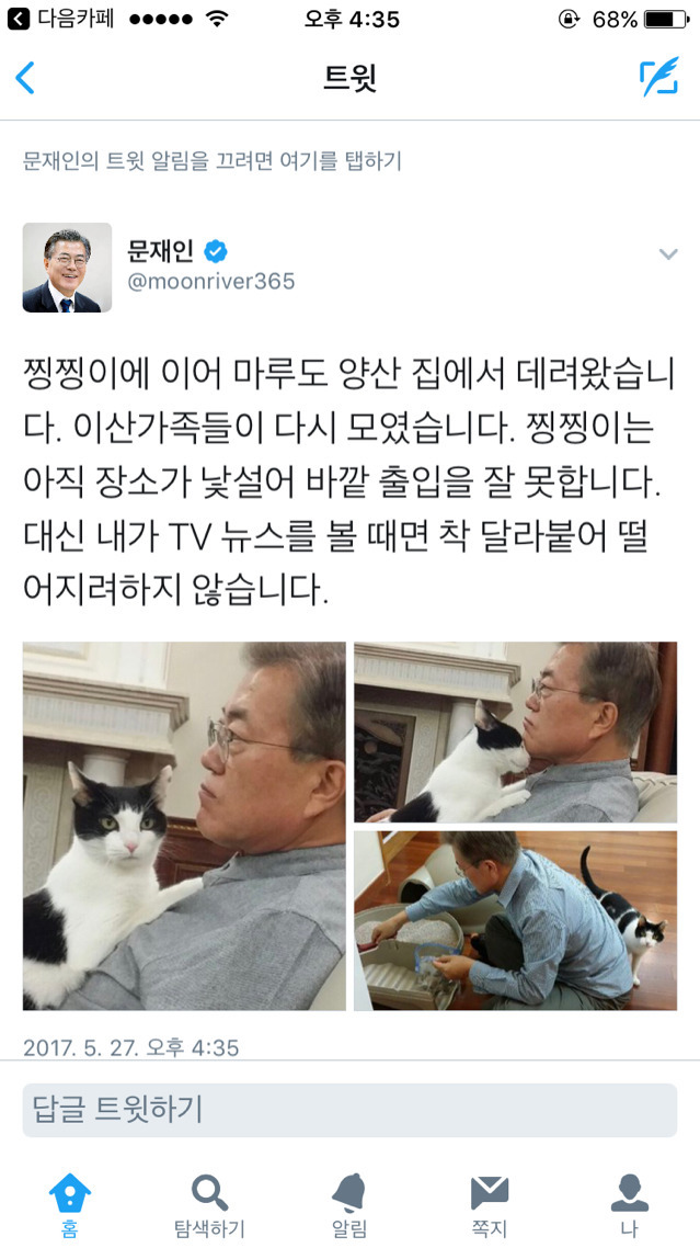 냥집사들 🐱 (사진 엄청많음 주의) | 인스티즈