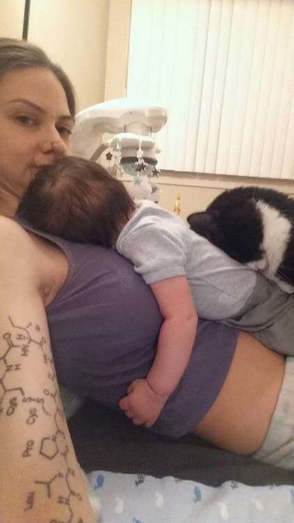 아기가 태어나기 전부터 사랑에 빠진 고양이 | 인스티즈