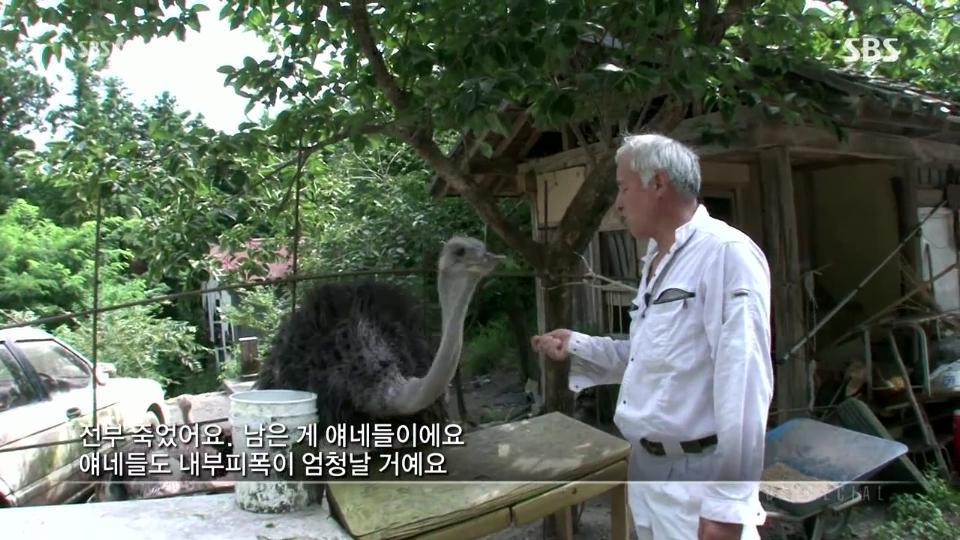 후쿠시마 홀로 남아서 살고있는 아저씨.jpg | 인스티즈