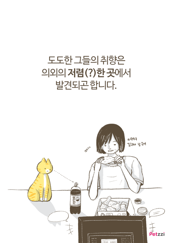 이해할 수 없는 고양이들의 취향.jpg | 인스티즈