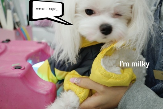 모모네일&속눈썹 이미지
