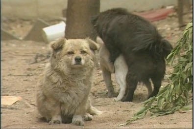 아내에게 반성문 쓰는 남편 | 인스티즈
