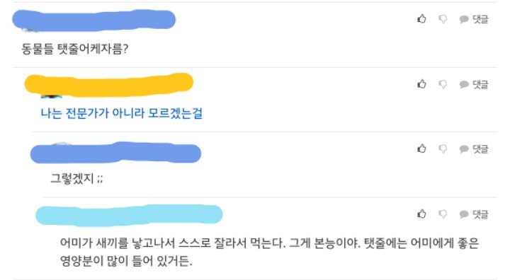 동물들이 어미에게서 나오기 전 | 인스티즈