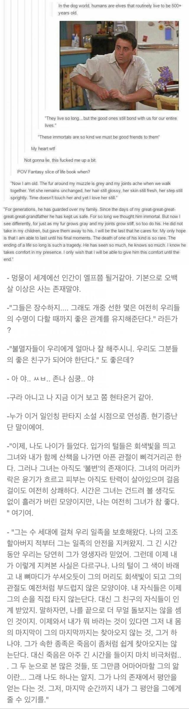 개의 시점에서 인간이란? | 인스티즈
