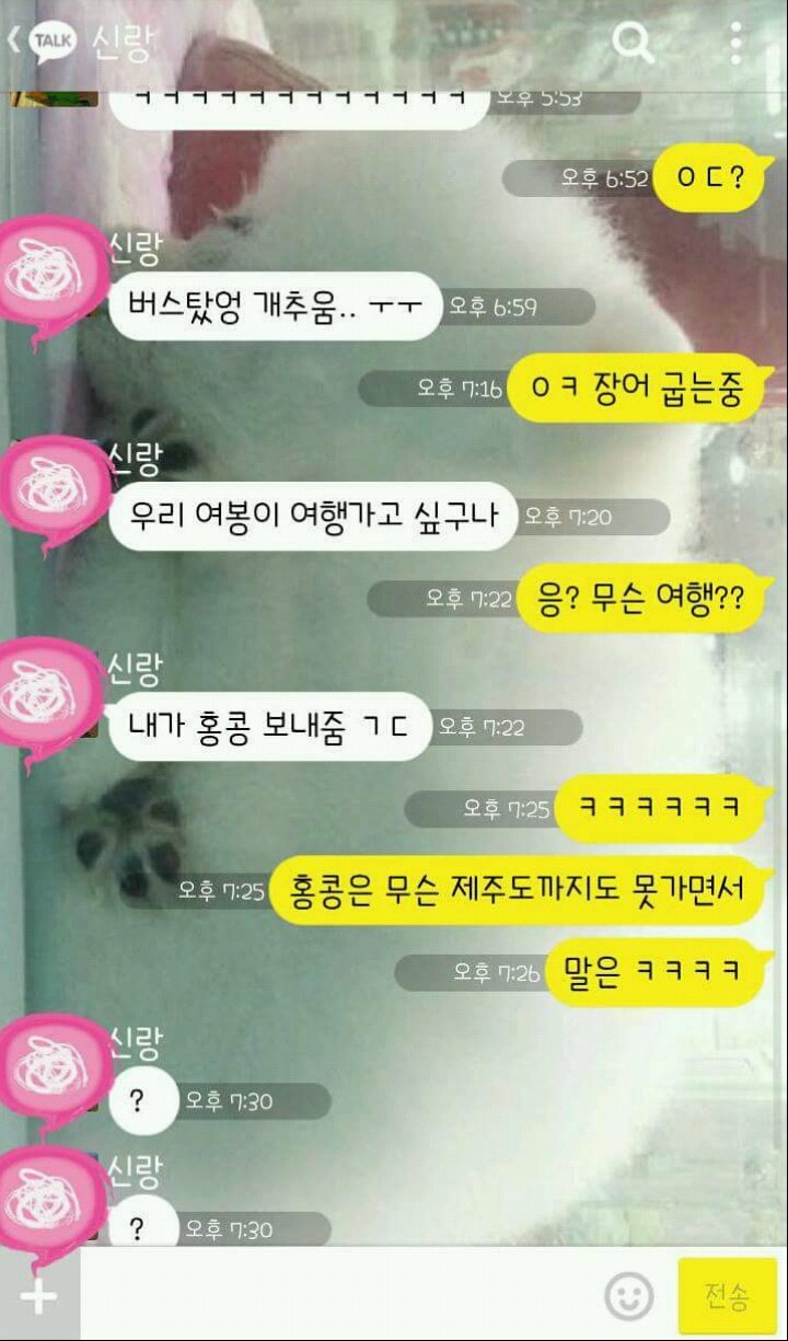 제주도까지도 못가는 신랑.jpg | 인스티즈