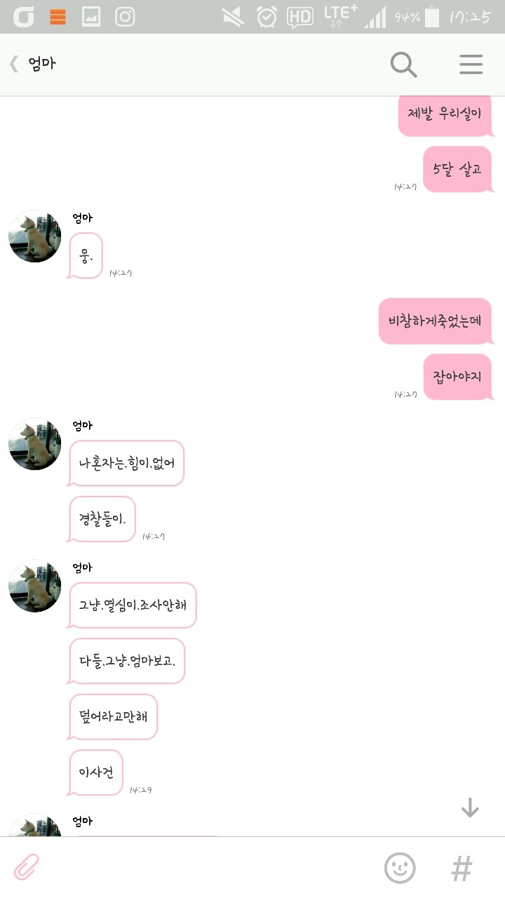 개소주로 만들어져버린 우리집 강아지 매실이를 도와주세요. 부탁드려요. 제발 퍼트려주세요 | 인스티즈