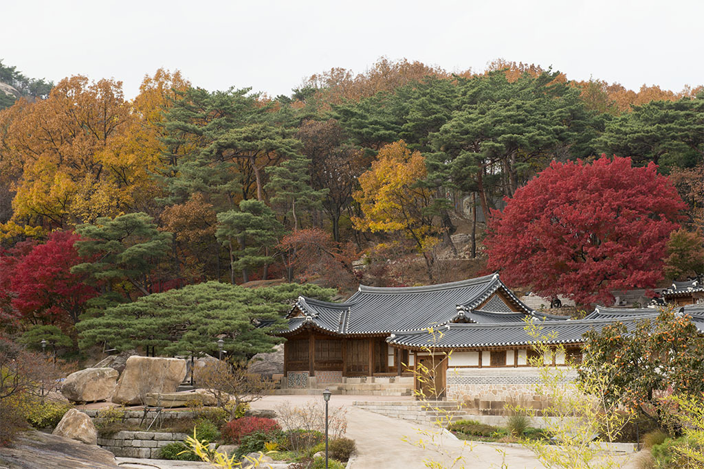 배창 이미지