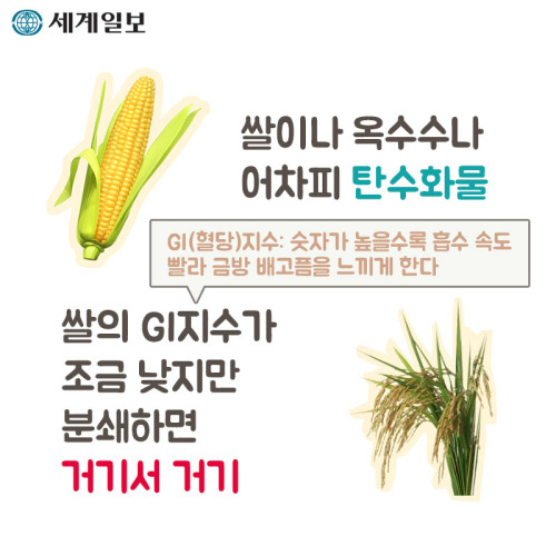 가격만 스페셜한 시리얼 | 인스티즈