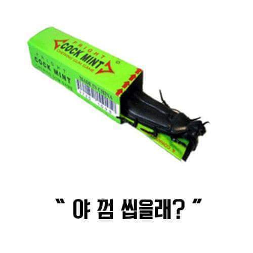지우야 그만하자 | 인스티즈
