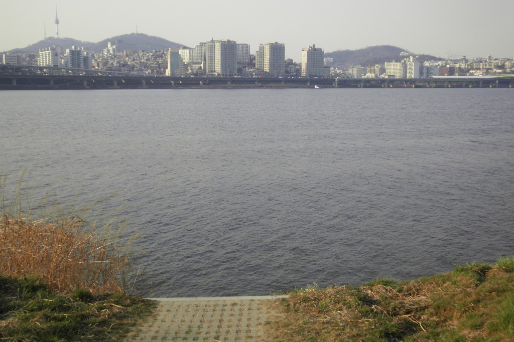 영동고등학교 이미지