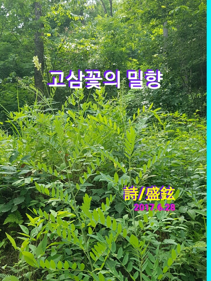 밀향 이미지