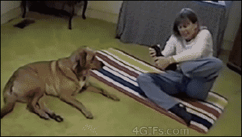 야야 이게 안돼???.gif | 인스티즈