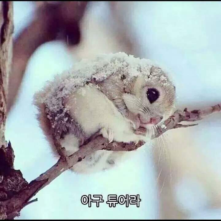 이공삼 이미지