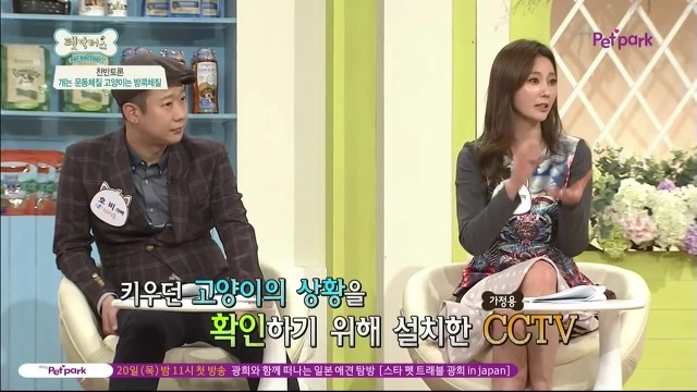 운동체질 강아지와 방콕체질 고양이?! | 인스티즈