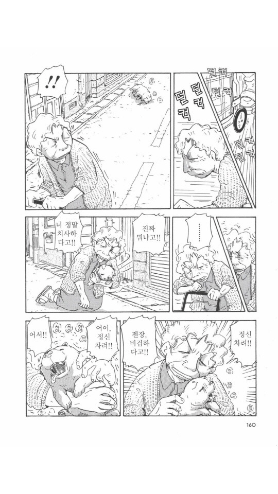 개를 주워오면 안되는 이유 | 인스티즈
