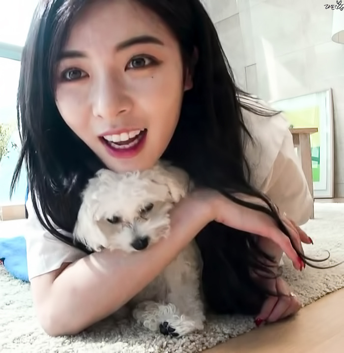빠숑 이미지
