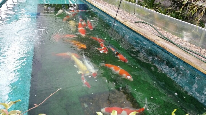 문향원 이미지