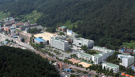 지역,도이름으로 된 대학교들 총 모음1 | 인스티즈