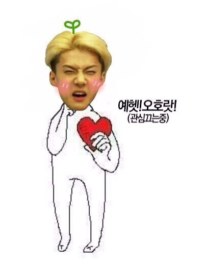 아진 이미지