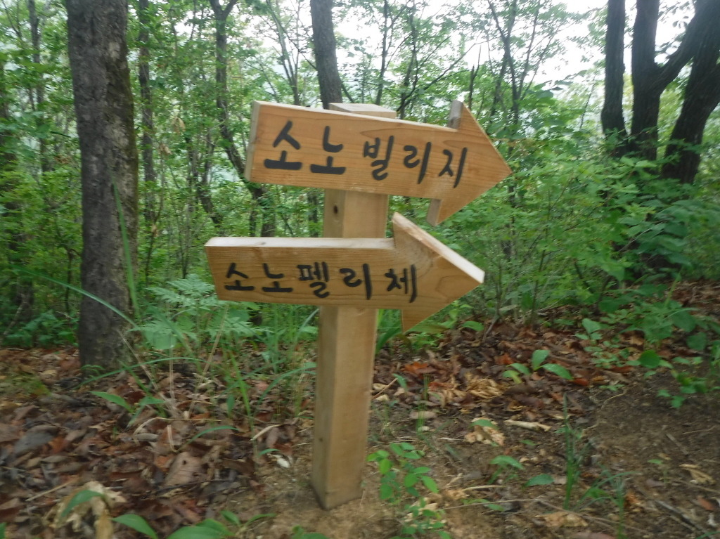 두릉산자연휴양림 이미지