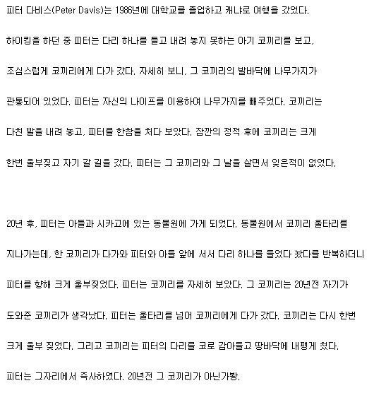 코끼리의 기억력 ㄷㄷ | 인스티즈
