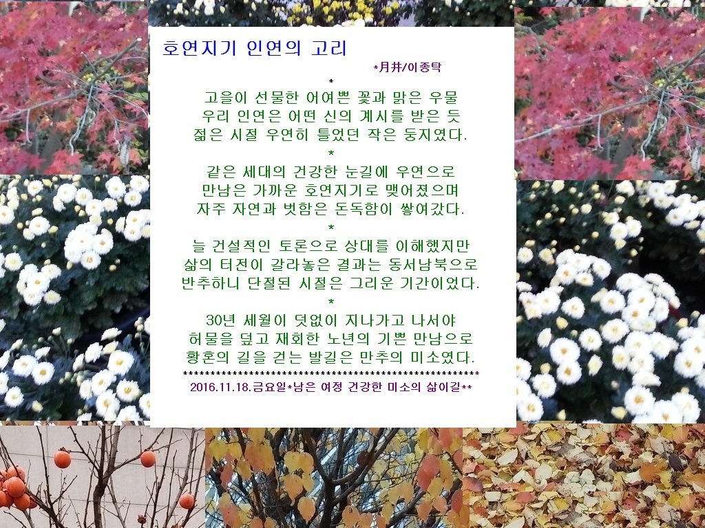 호연지기 이미지