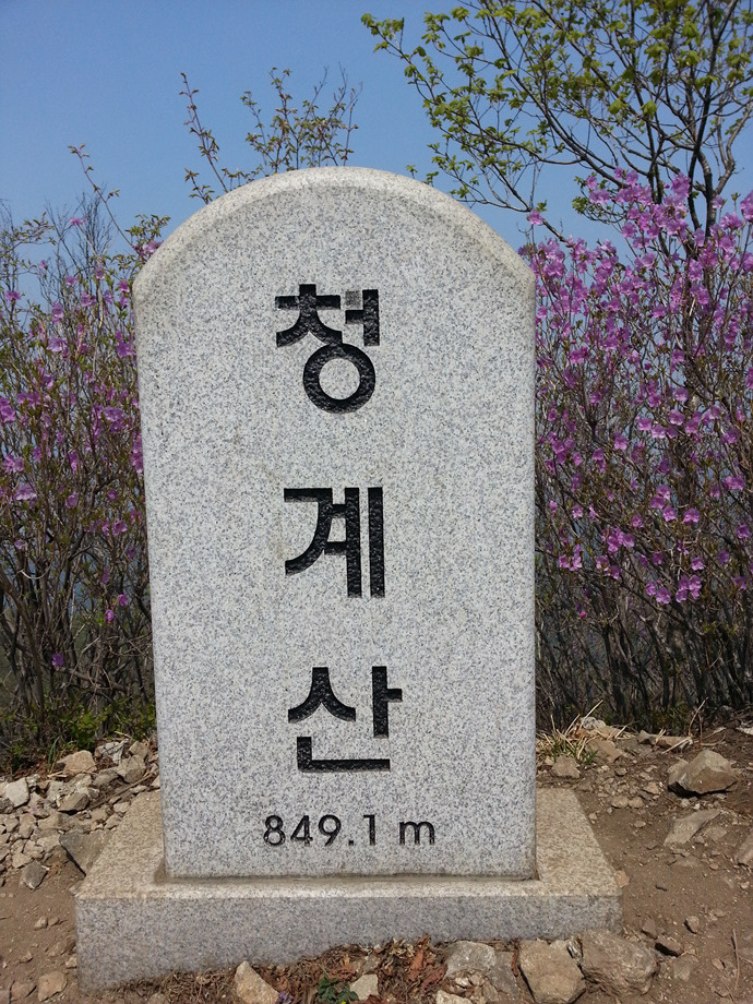 샘물농장 이미지