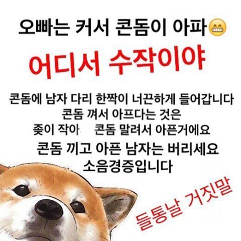 인스타그램의 계정ㅋㅋㅋㅋㅋ | 인스티즈