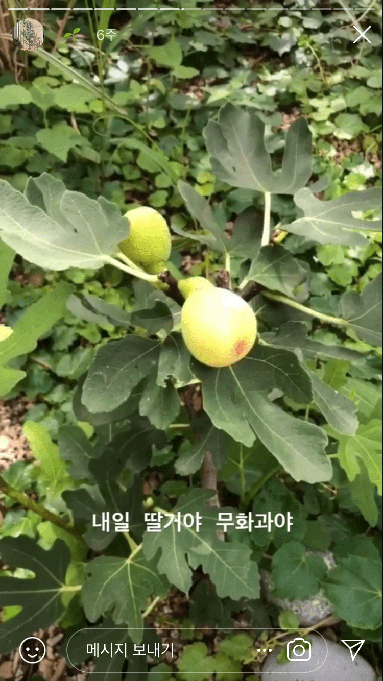 인테리어 제대로 보고 싶은 강민경 집.jpg | 인스티즈