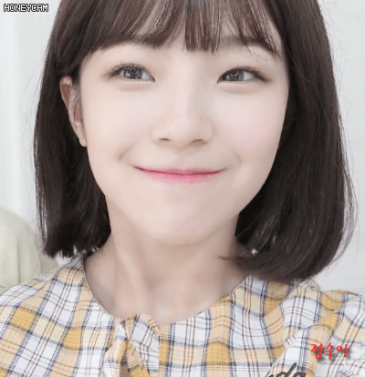 약속회 앨범추가구매를 고민하던중에 프로미스 나인 백지헌 | 인스티즈