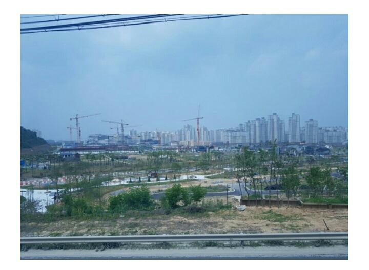 코다리밥상 이미지