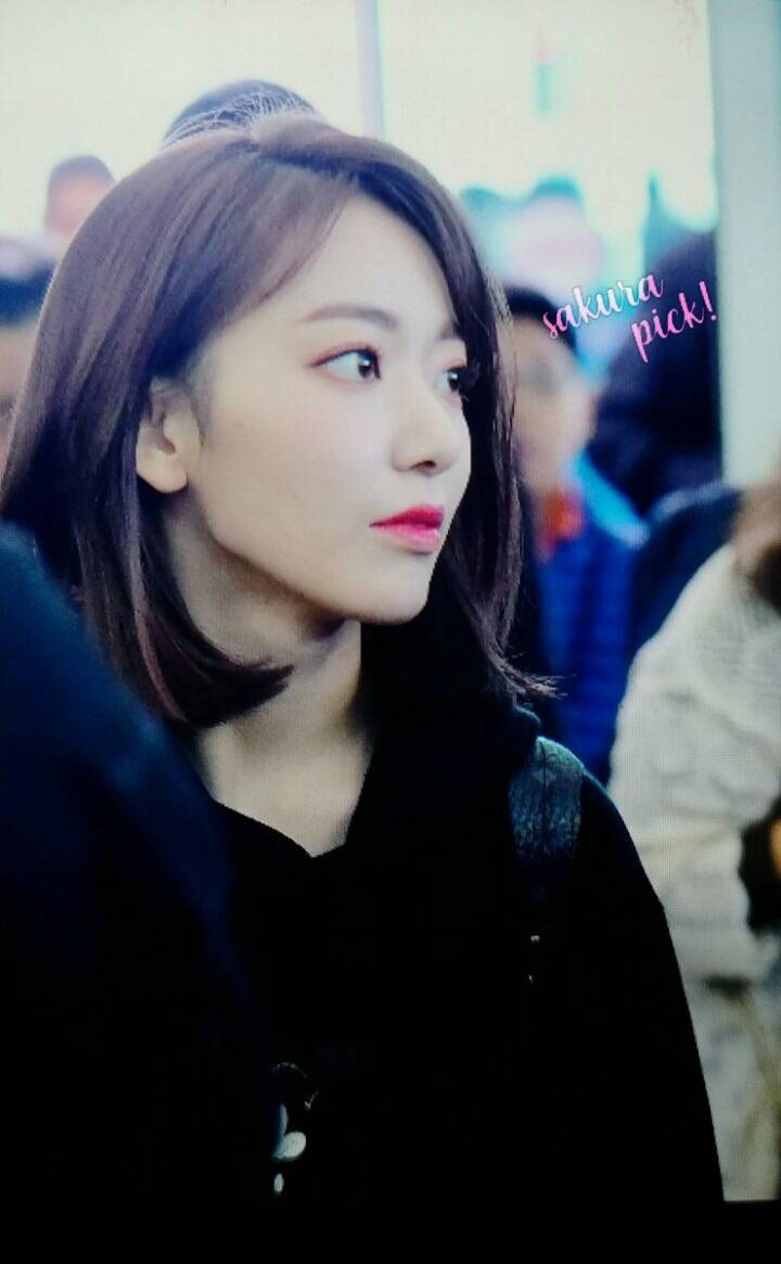 사쿠라로 확인하는 일본 스타일 한국 스타일 비교 | 인스티즈