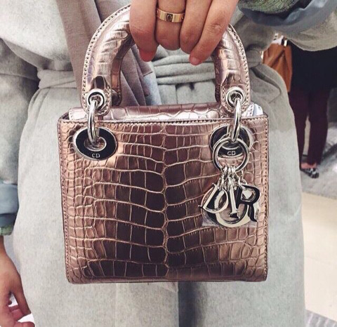 누구나 가슴속에 명품백 하나쯤은 있잖아요? 디올 레이디백 | 인스티즈