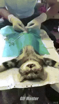 이보시오! 의사양반 gif | 인스티즈